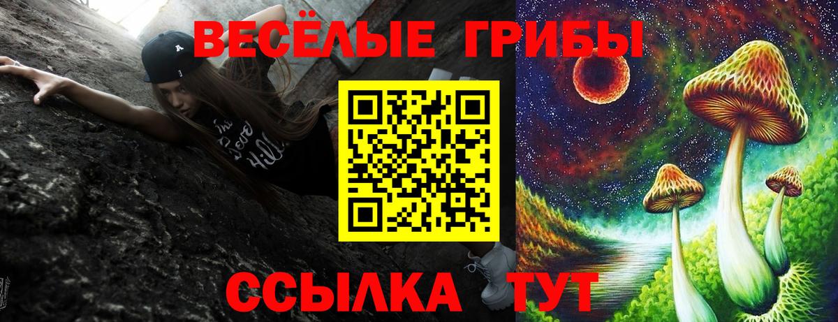 Гулькевичи  Галлюциногенные грибы ЛСД  Вход с VPN  Галлюциногенные грибы мухоморы 