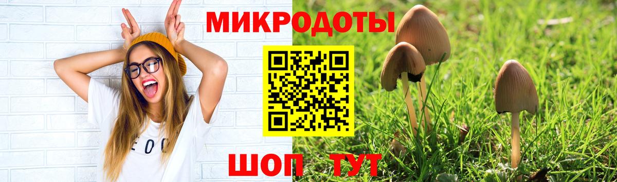 Псилоцибиновые грибы прущие грибы Гулькевичи